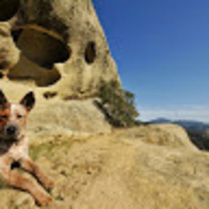 Meet your Posher, Leigh